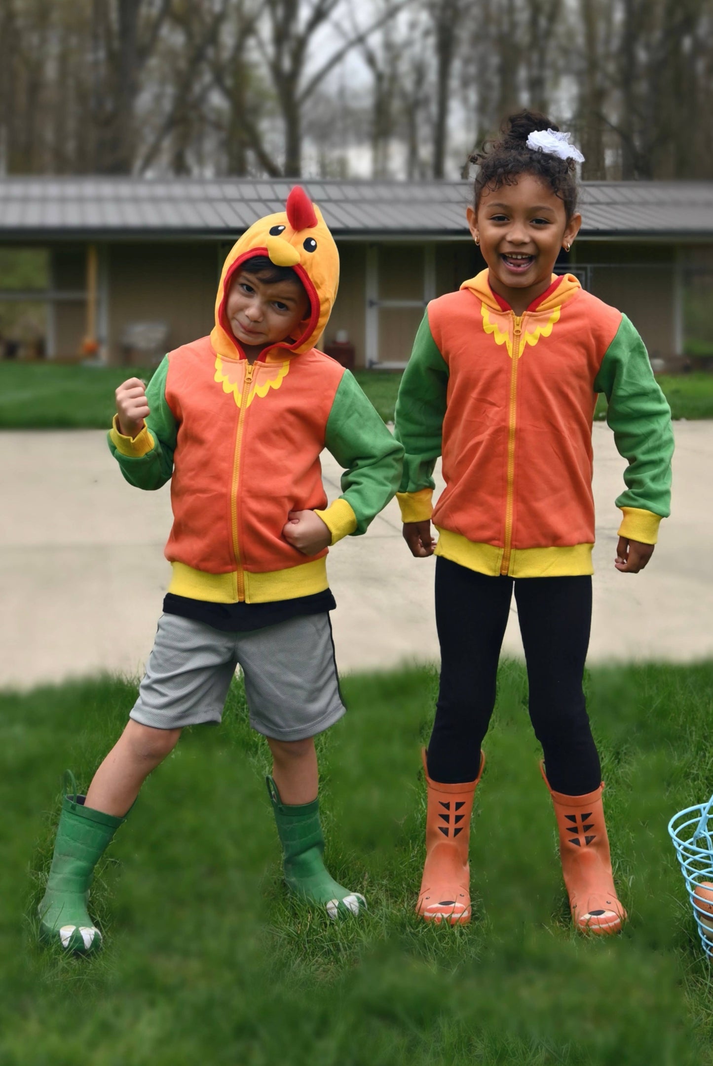 Rocket the Rooster Toddler and Kids Western 3D Hoodie: 18M