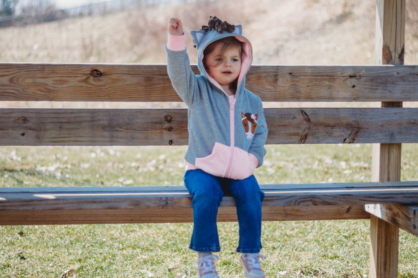 Pink Horse 3D Hoodie Toddler and Kids Western: 18 month