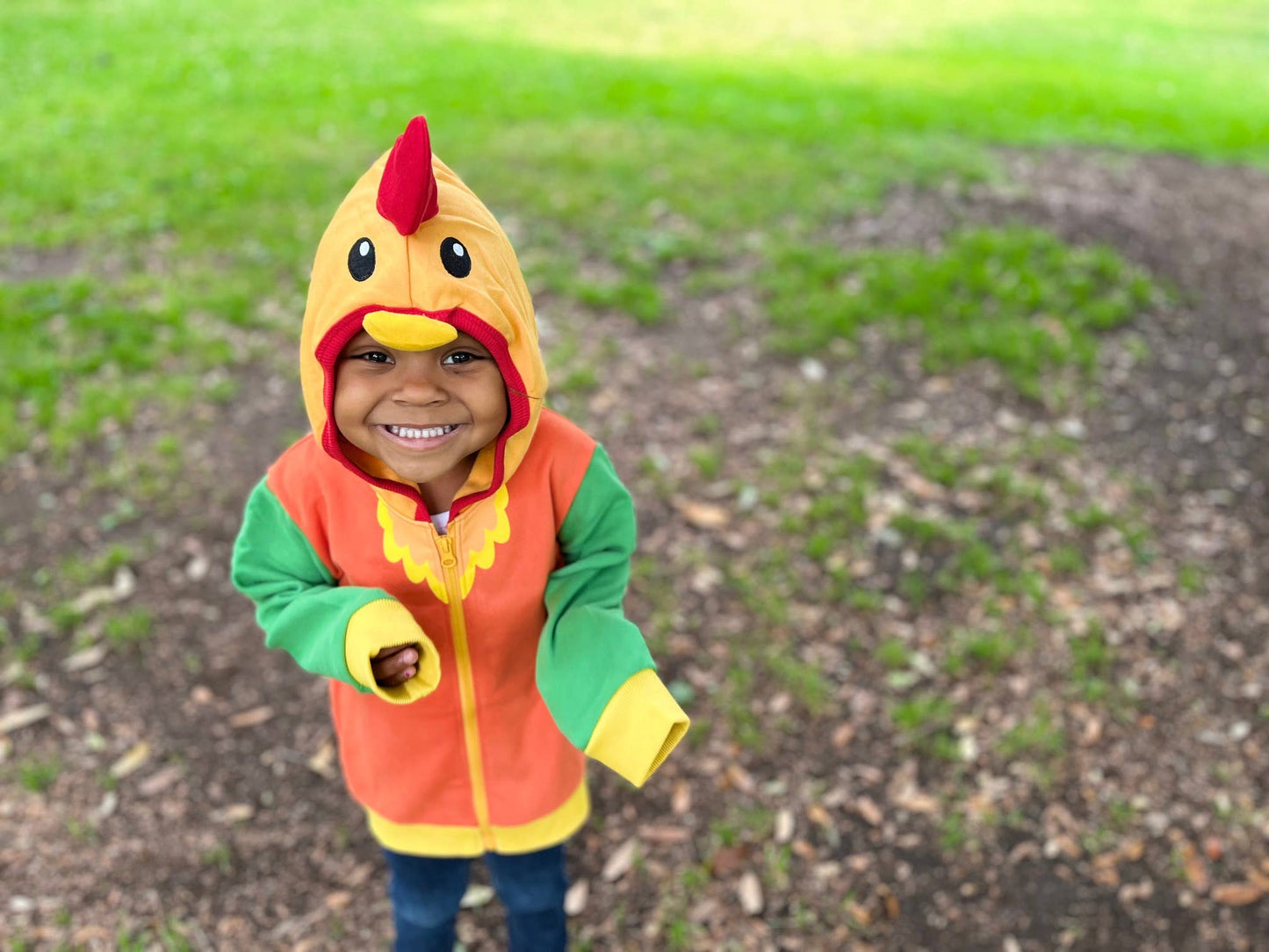 Rocket the Rooster Toddler and Kids Western 3D Hoodie: 18M