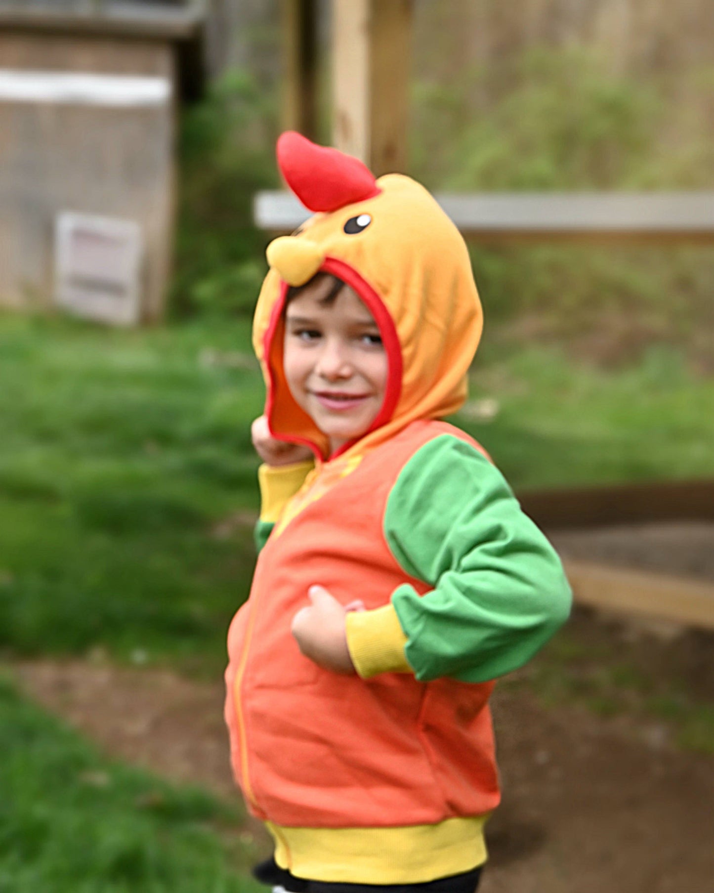 Rocket the Rooster Toddler and Kids Western 3D Hoodie: 18M
