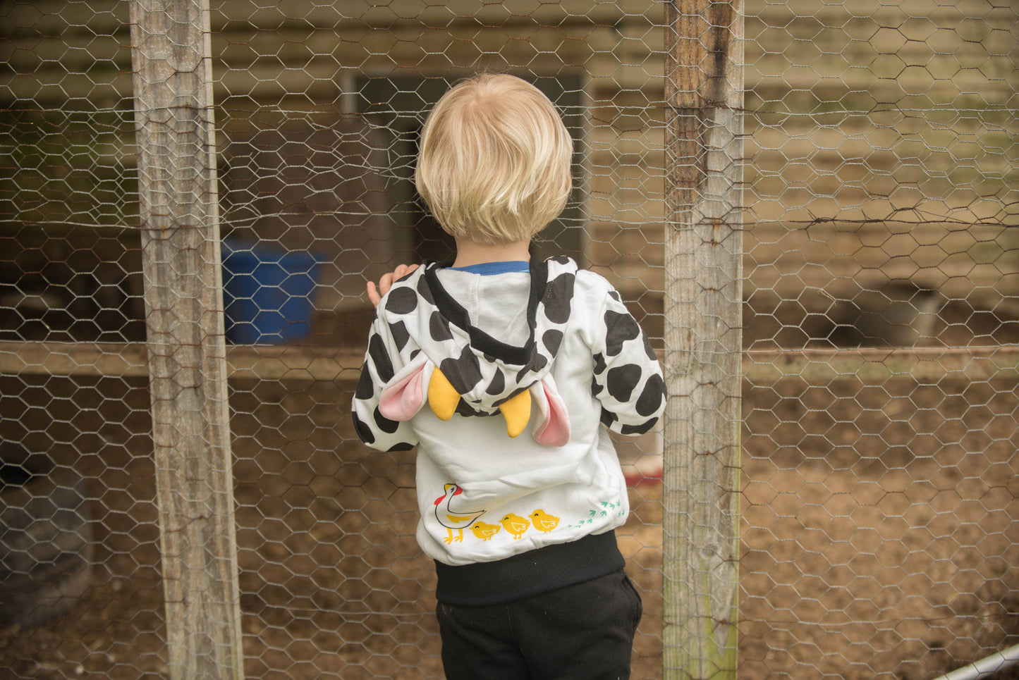 Cow Western Toddler and Kids Hoodie: 18M