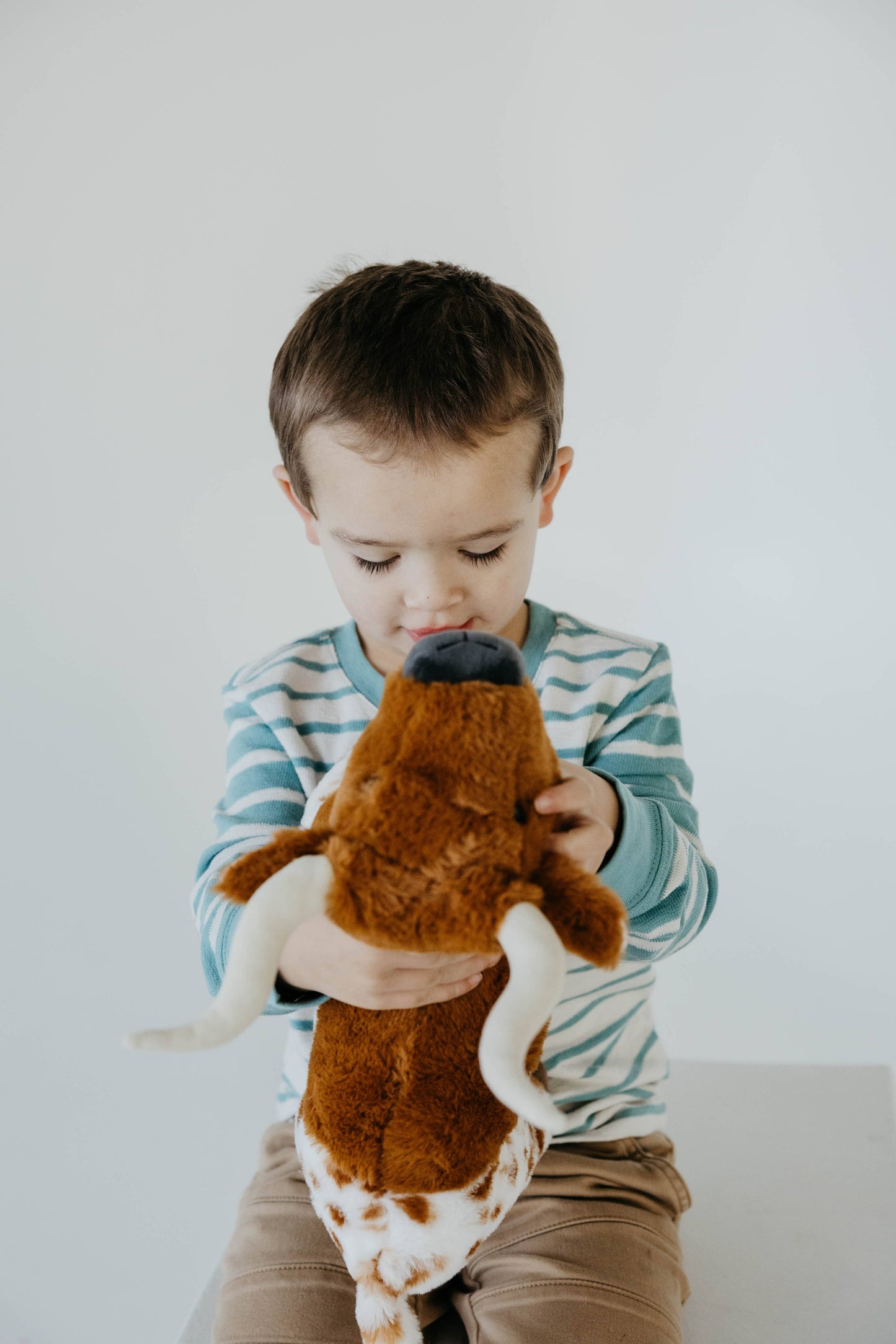 12" (30cm) Wild Onez Longhorn Cow